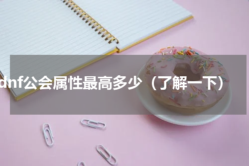 dnf公会属性最高多少（了解一下）