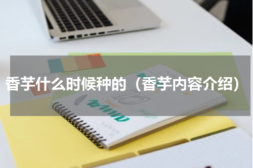 香芋什么时候种的（香芋内容介绍）