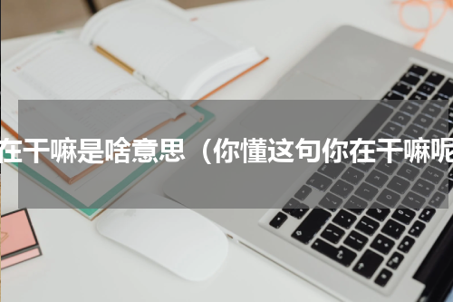 你在干嘛是啥意思（你懂这句你在干嘛呢）