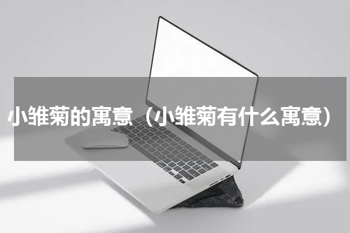 小雏菊的寓意（小雏菊有什么寓意）