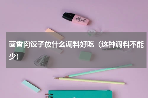 茴香肉饺子放什么调料好吃（这种调料不能少）