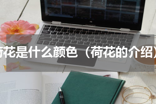 荷花是什么颜色（荷花的介绍）