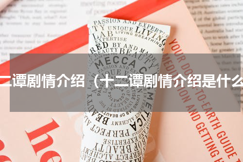 十二谭剧情介绍（十二谭剧情介绍是什么）