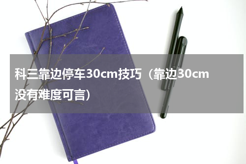 科三靠边停车30cm技巧（靠边30cm没有难度可言）