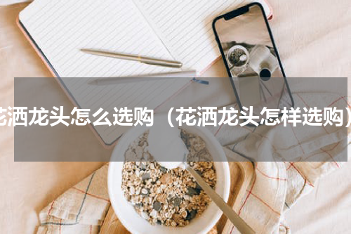 花洒龙头怎么选购（花洒龙头怎样选购）