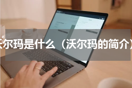 沃尔玛是什么（沃尔玛的简介）