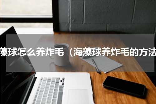 海藻球怎么养炸毛（海藻球养炸毛的方法）