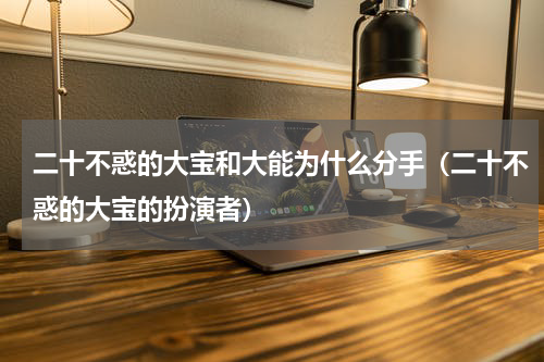 二十不惑的大宝和大能为什么分手（二十不惑的大宝的扮演者）