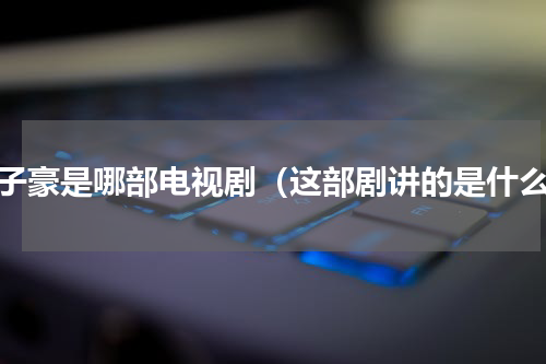 沈子豪是哪部电视剧（这部剧讲的是什么）