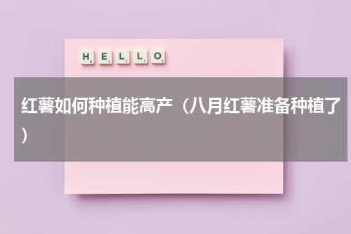 红薯如何种植能高产（八月红薯准备种植了）