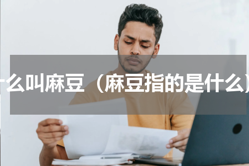 什么叫麻豆（麻豆指的是什么）