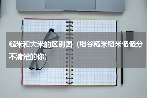 糙米和大米的区别图（稻谷糙米稻米傻傻分不清楚的你）