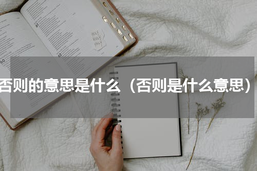 否则的意思是什么（否则是什么意思）