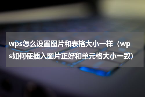 wps怎么设置图片和表格大小一样（wps如何使插入图片正好和单元格大小一致）
