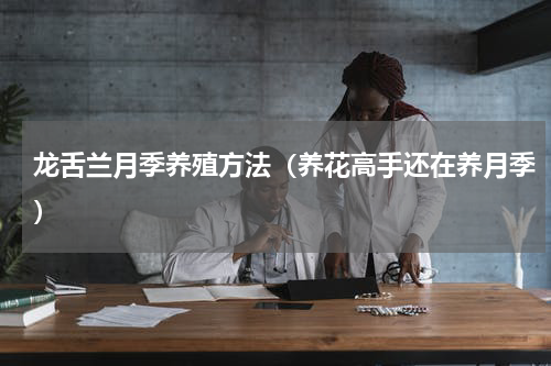 龙舌兰月季养殖方法（养花高手还在养月季）