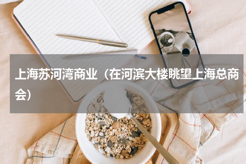 上海苏河湾商业（在河滨大楼眺望上海总商会）