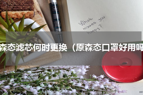 原森态滤芯何时更换（原森态口罩好用吗）