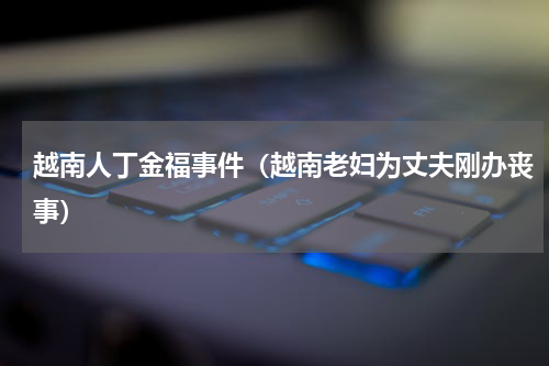 越南人丁金福事件（越南老妇为丈夫刚办丧事）