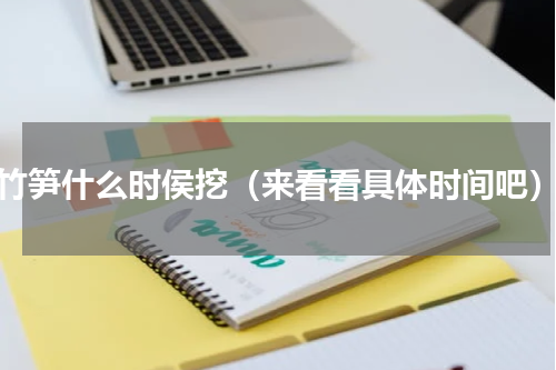 竹笋什么时侯挖（来看看具体时间吧）