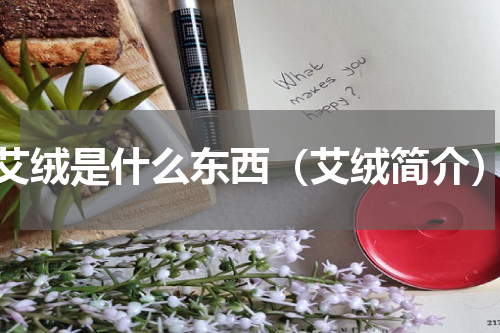 艾绒是什么东西（艾绒简介）