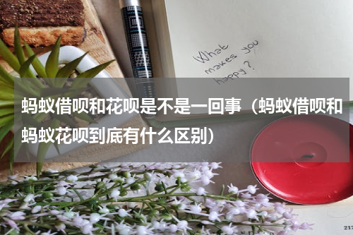 蚂蚁借呗和花呗是不是一回事（蚂蚁借呗和蚂蚁花呗到底有什么区别）