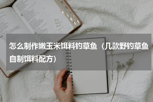 怎么制作嫩玉米饵料钓草鱼（几款野钓草鱼自制饵料配方）