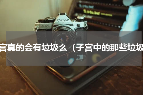 子宫真的会有垃圾么（子宫中的那些垃圾）