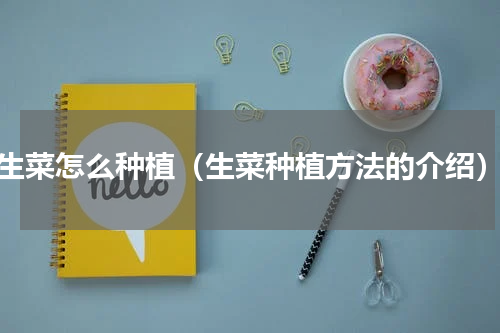 生菜怎么种植（生菜种植方法的介绍）