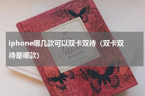 iphone哪几款可以双卡双待（双卡双待是哪款）