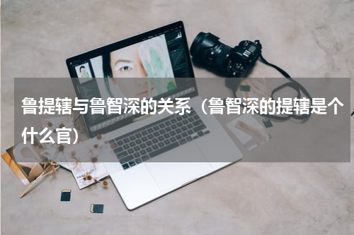 鲁提辖与鲁智深的关系（鲁智深的提辖是个什么官）