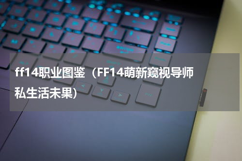 ff14职业图鉴（FF14萌新窥视导师私生活未果）