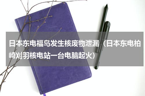 日本东电福岛发生核废物泄漏（日本东电柏崎刈羽核电站一台电脑起火）