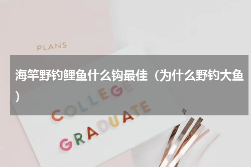 海竿野钓鲤鱼什么钩最佳（为什么野钓大鱼）