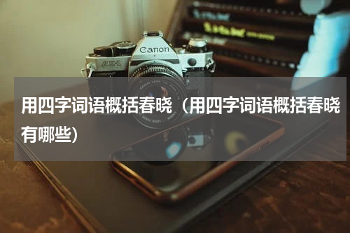 用四字词语概括春晓（用四字词语概括春晓有哪些）
