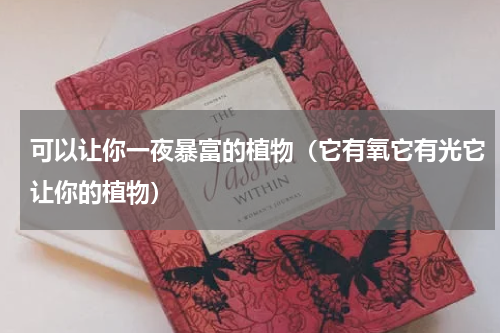 可以让你一夜暴富的植物（它有氧它有光它让你的植物）