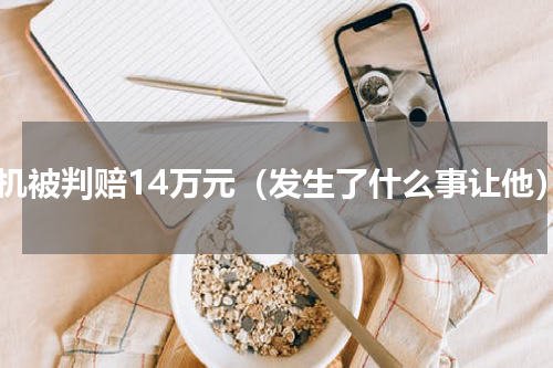 飞机被判赔14万元（发生了什么事让他）