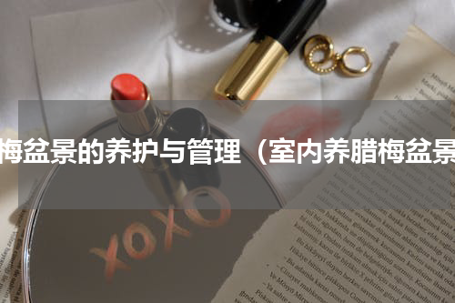 腊梅盆景的养护与管理（室内养腊梅盆景）