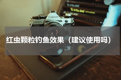 红虫颗粒钓鱼效果（建议使用吗）