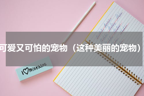 可爱又可怕的宠物（这种美丽的宠物）
