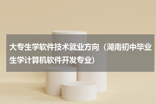 大专生学软件技术就业方向（湖南初中毕业生学计算机软件开发专业）