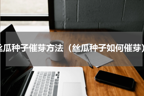 丝瓜种子催芽方法（丝瓜种子如何催芽）