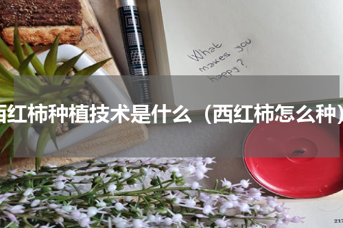 西红柿种植技术是什么（西红柿怎么种）