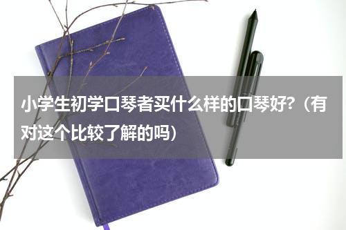 小学生初学口琴者买什么样的口琴好?（有对这个比较了解的吗）