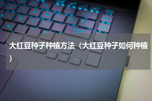 大红豆种子种植方法（大红豆种子如何种植）