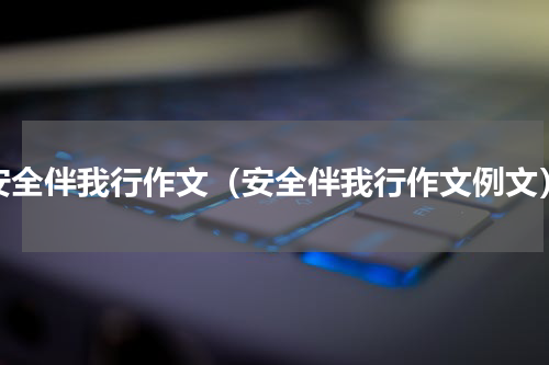 安全伴我行作文（安全伴我行作文例文）