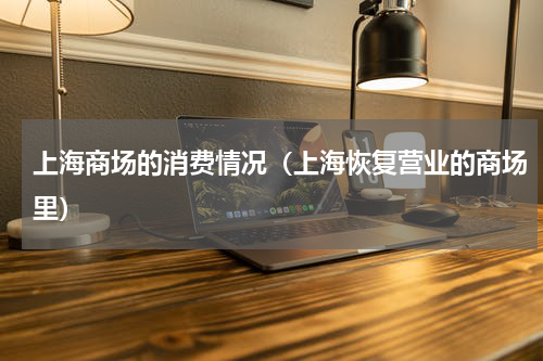 上海商场的消费情况（上海恢复营业的商场里）