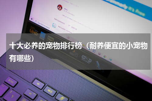 十大必养的宠物排行榜（耐养便宜的小宠物有哪些）