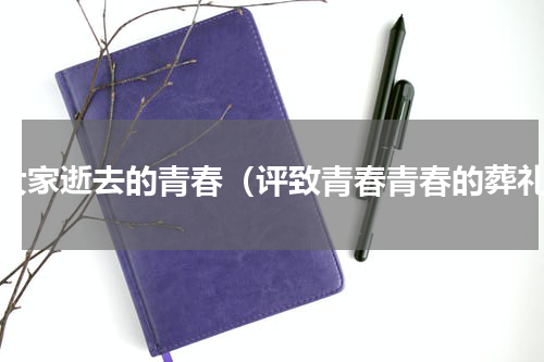 致大家逝去的青春（评致青春青春的葬礼）