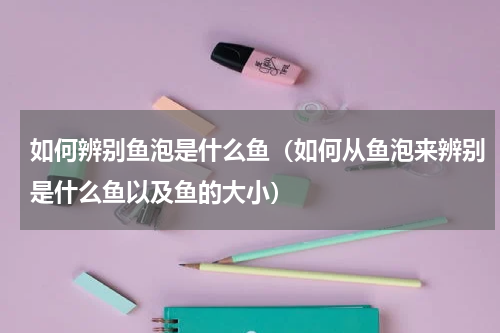 如何辨别鱼泡是什么鱼（如何从鱼泡来辨别是什么鱼以及鱼的大小）