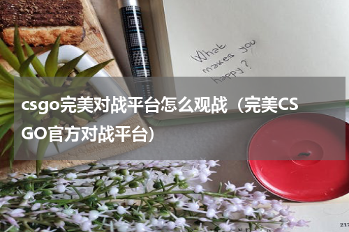 csgo完美对战平台怎么观战（完美CSGO官方对战平台）